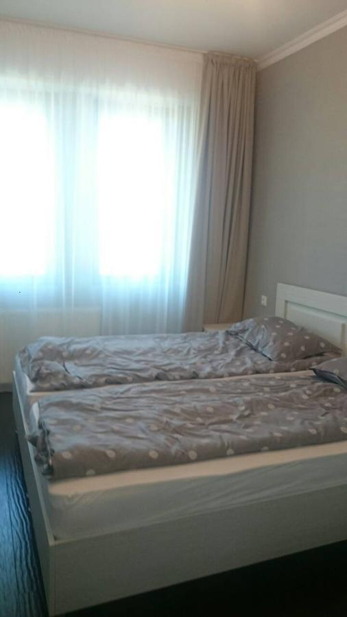 Salome'S Apartment At Bakuriani Residence エクステリア 写真
